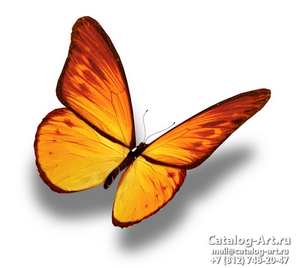  Butterflies 110